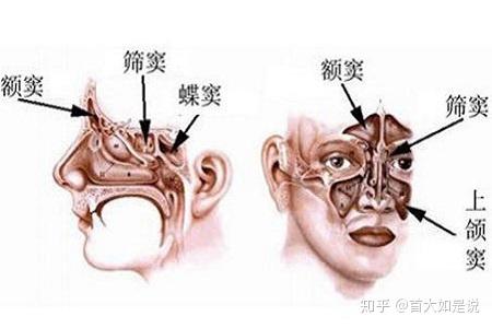 理解与引导的重要性