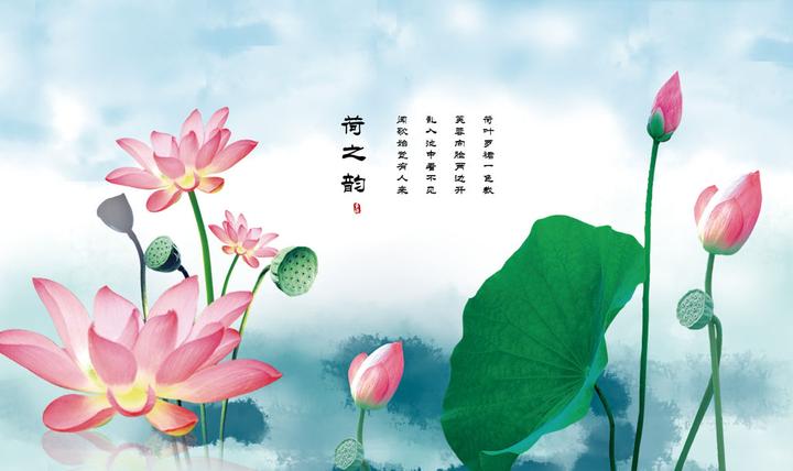 白莲诗词赏析莲商会 知乎