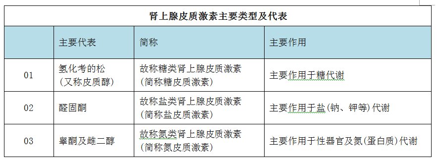 糖类肾上腺皮质激素(糖皮质激素,盐类肾上腺皮质激素(盐皮质激素)