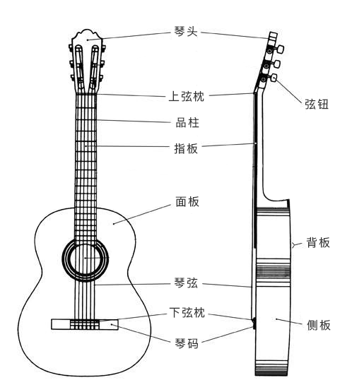吉他的结构和材质