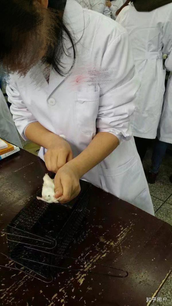 学医的女生有多可怕?