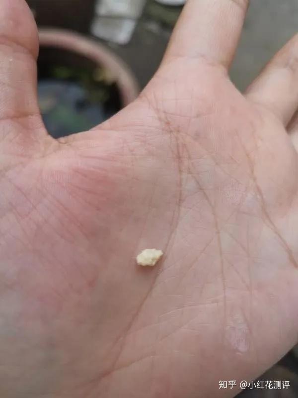 专家:麻蝇直接产幼虫,看不到卵近日,消费者俞女士在某电商平台简爱