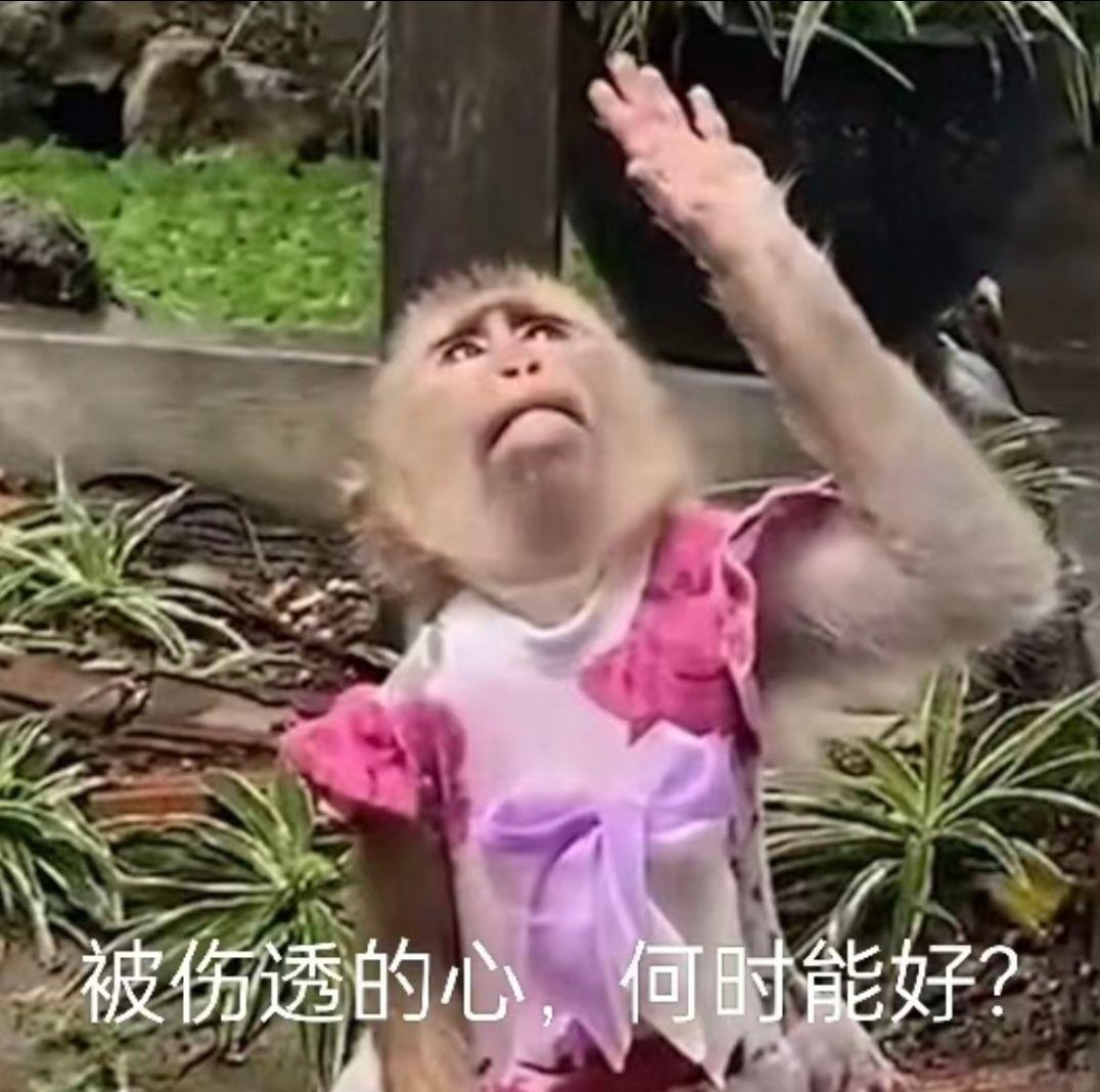 吗喽表情包第三波来咯! - 知乎