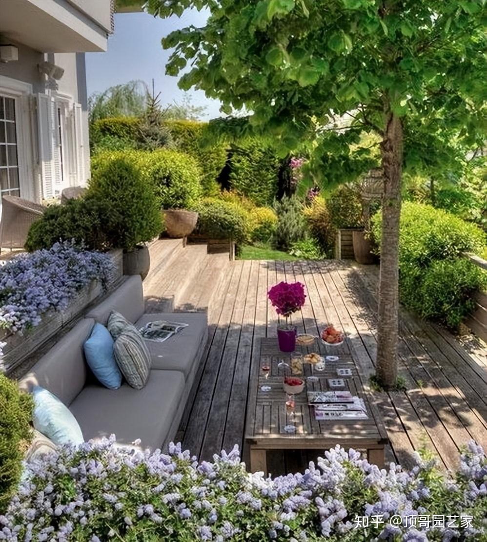 小庭院种树有哪些原则?