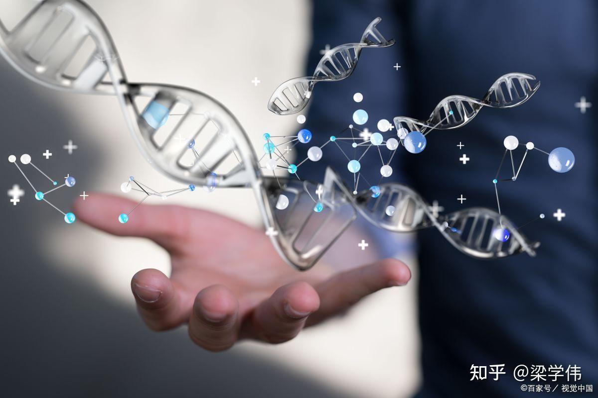 中国传统文化中,万物的本源是什么? - 知乎