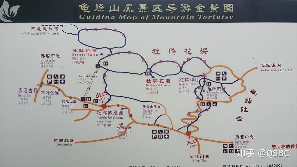 人间四月天麻城看杜鹃湖北麻城杜鹃之旅