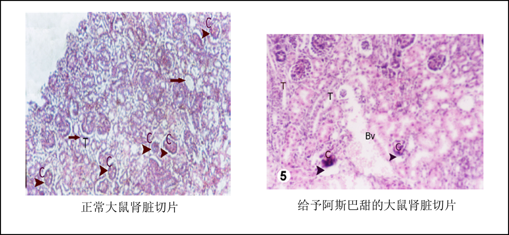 有什么代糖、甜味剂比较好可以推荐？ - 知乎