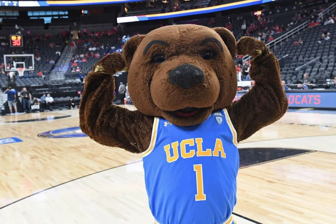 连你最爱的运动品牌都和ucla在一起了全美公立第一的它还不快来pick