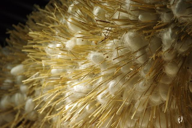 走进金蚕之乡丝路之源石泉了解了蚕与丝的故事