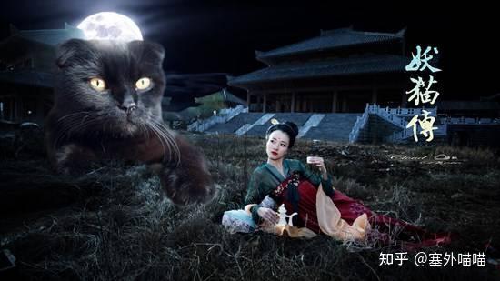 猫的神话杂谈:神秘个性、猫妖轶事、九命传说、猫与文人的故事 - 知乎