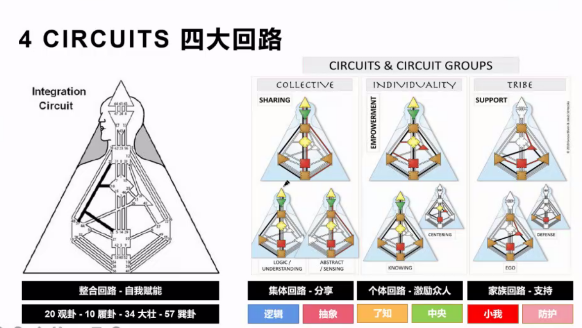 初识人类图反映者纪实感悟