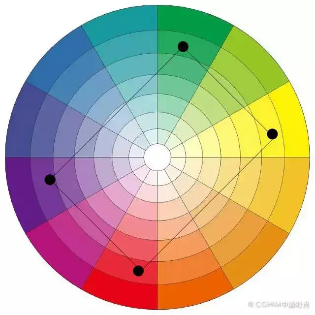花艺设计教你看懂花艺色彩搭配的12色轮