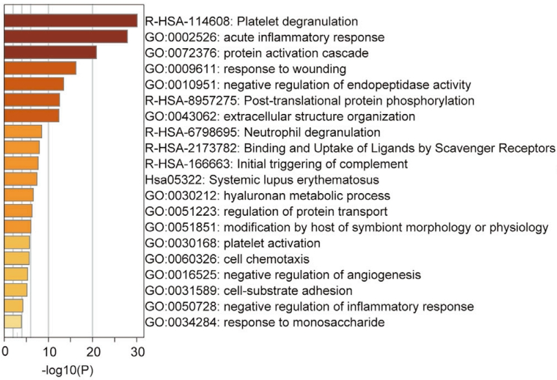 组学数据分析实操系列 | （三）Metascape零代码解锁富集分析 - 知乎