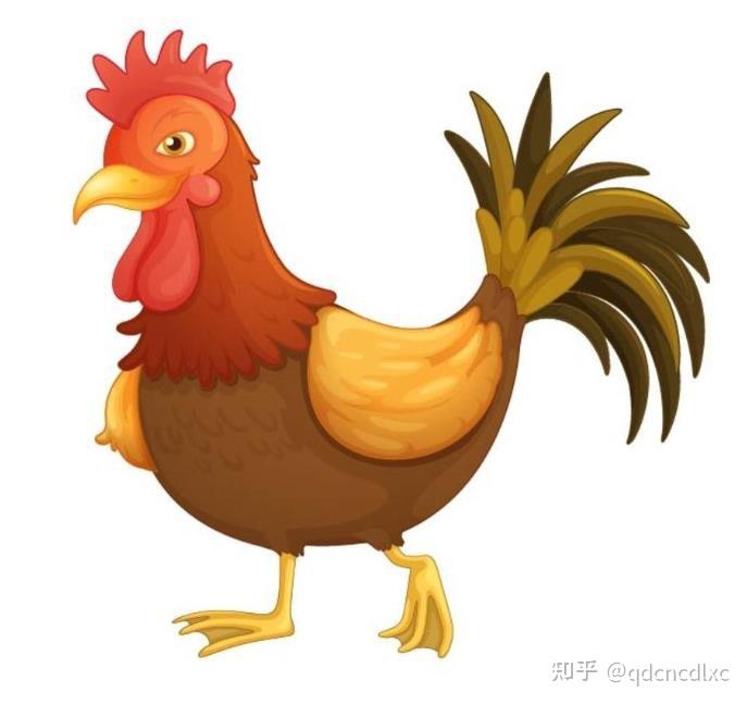 生肖属鸡的白羊座运势(属鸡的白羊座女生命运)