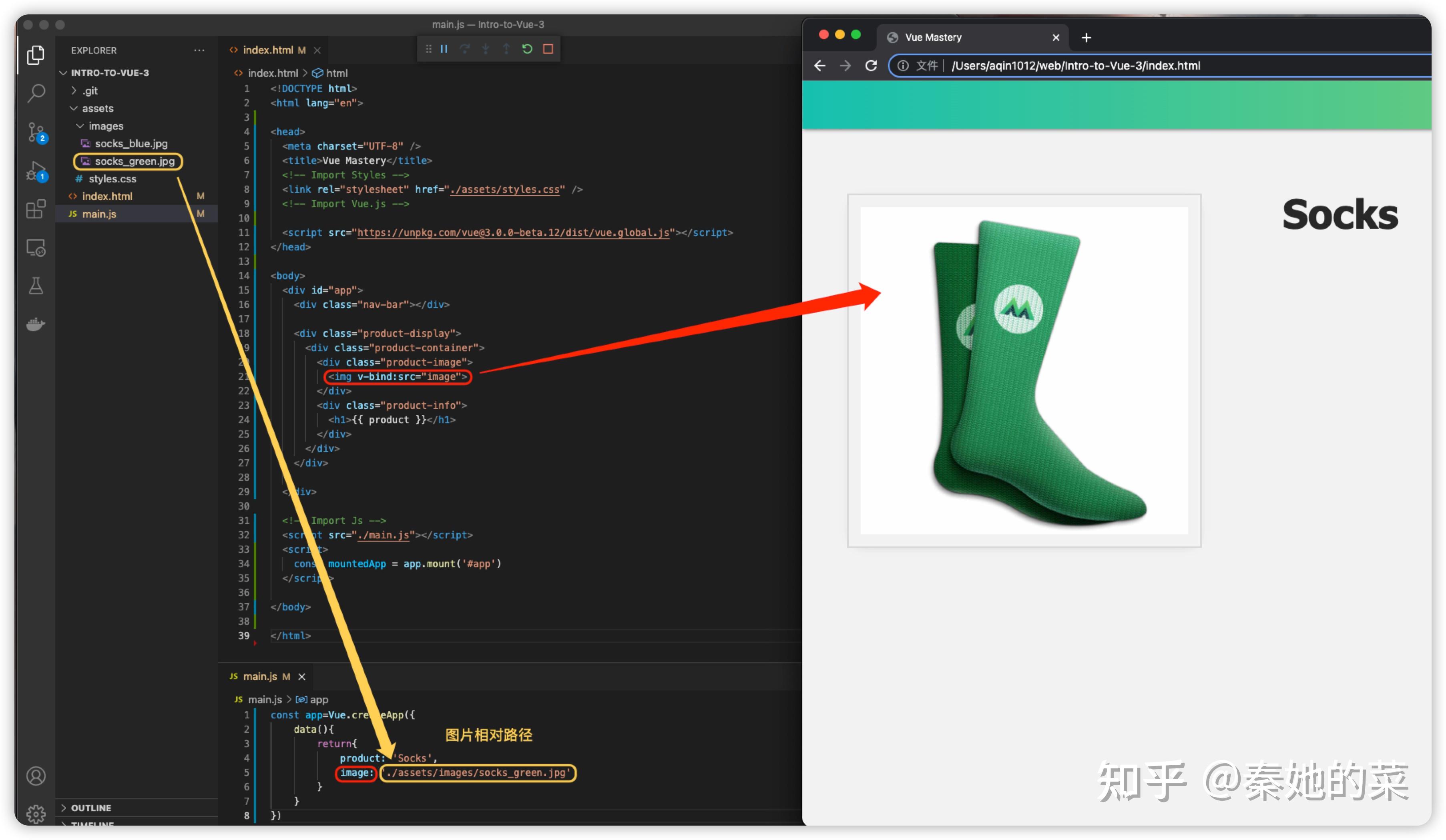 【vue3】vue mastery sock (1-3) - 知乎