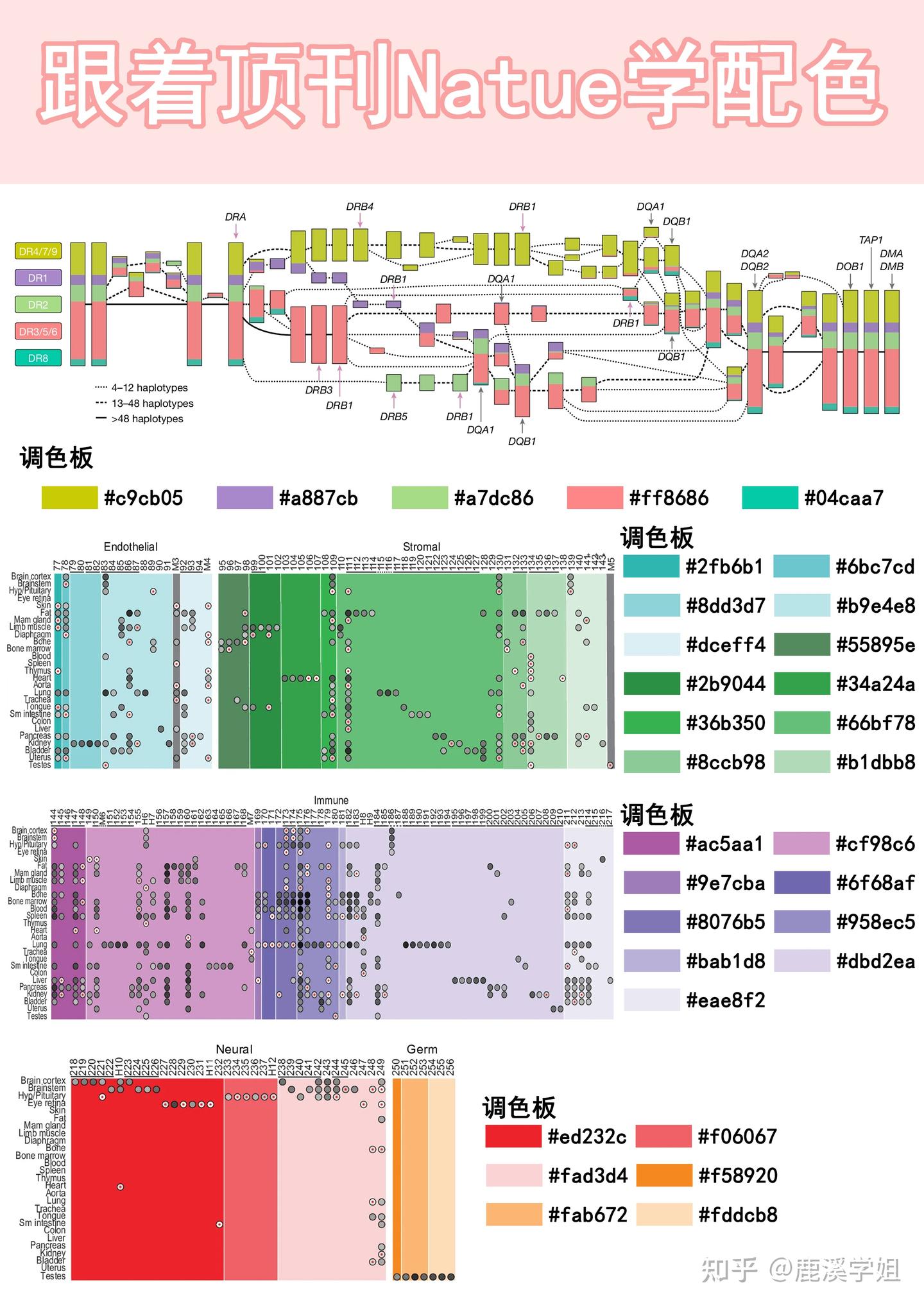 Nature御用配色公式！科研绘图秒变顶刊风，3招搞定高级感 - 知乎