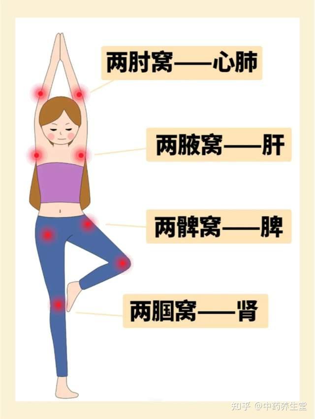 拍八虚总是听说,你真的学会如何拍八虚了吗?不要错过这篇 - 知乎