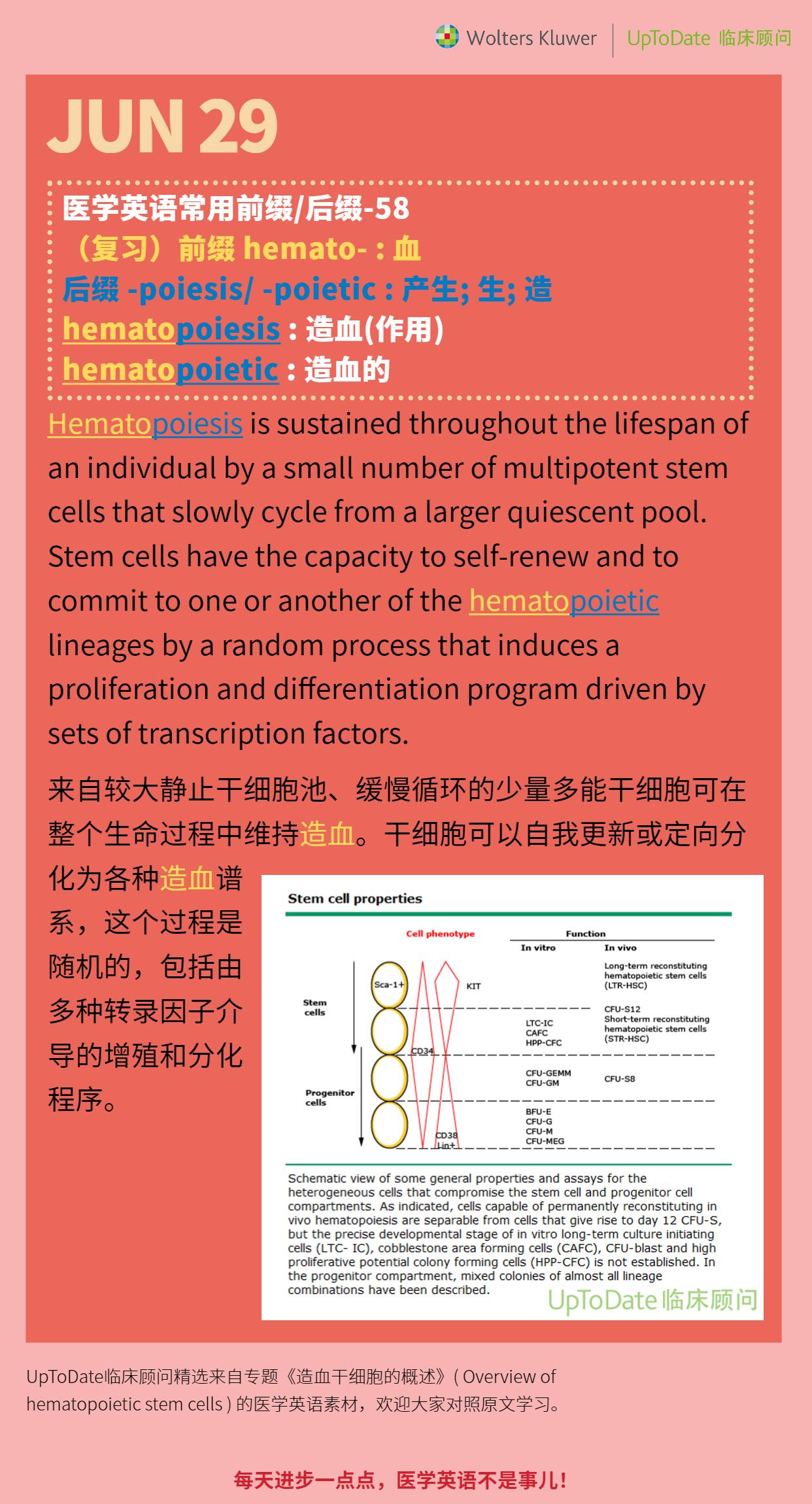 医学英语打卡629后缀poiesispoietic