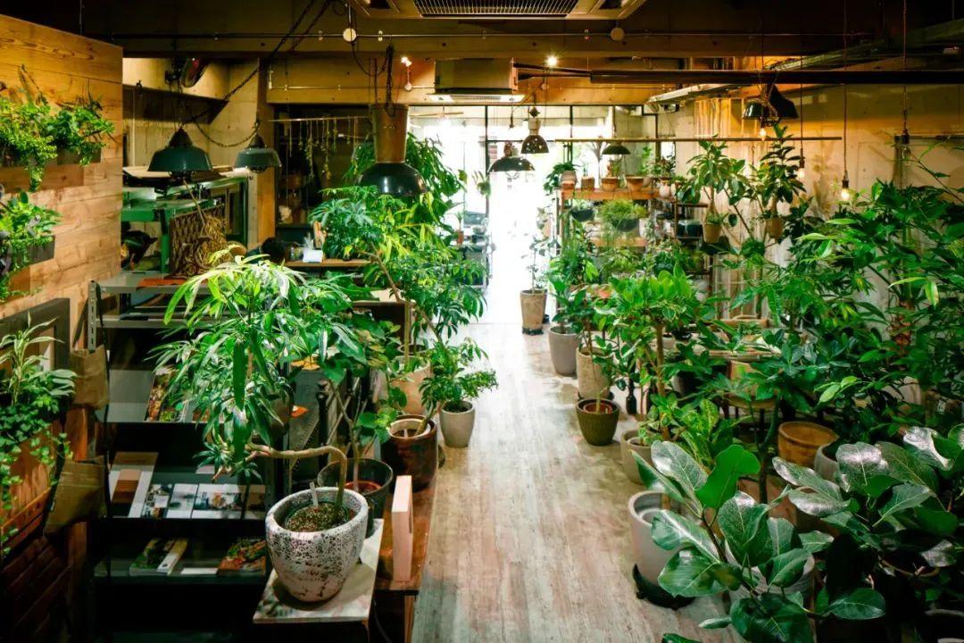 日本这些绿植店,让你即使宅在家,也能被自然所治愈