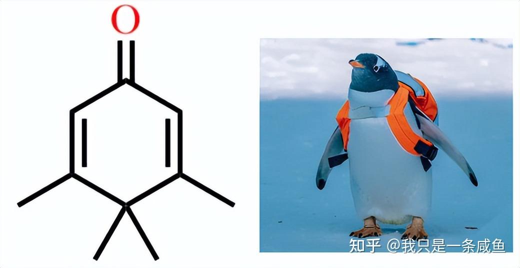 你知道哪些有趣的化学结构式? - 知乎