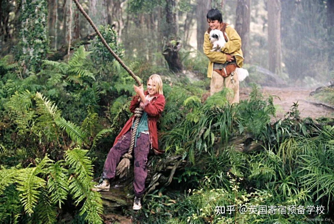 “Bridge to Terabithia”《寻找仙境之桥》 - 知乎