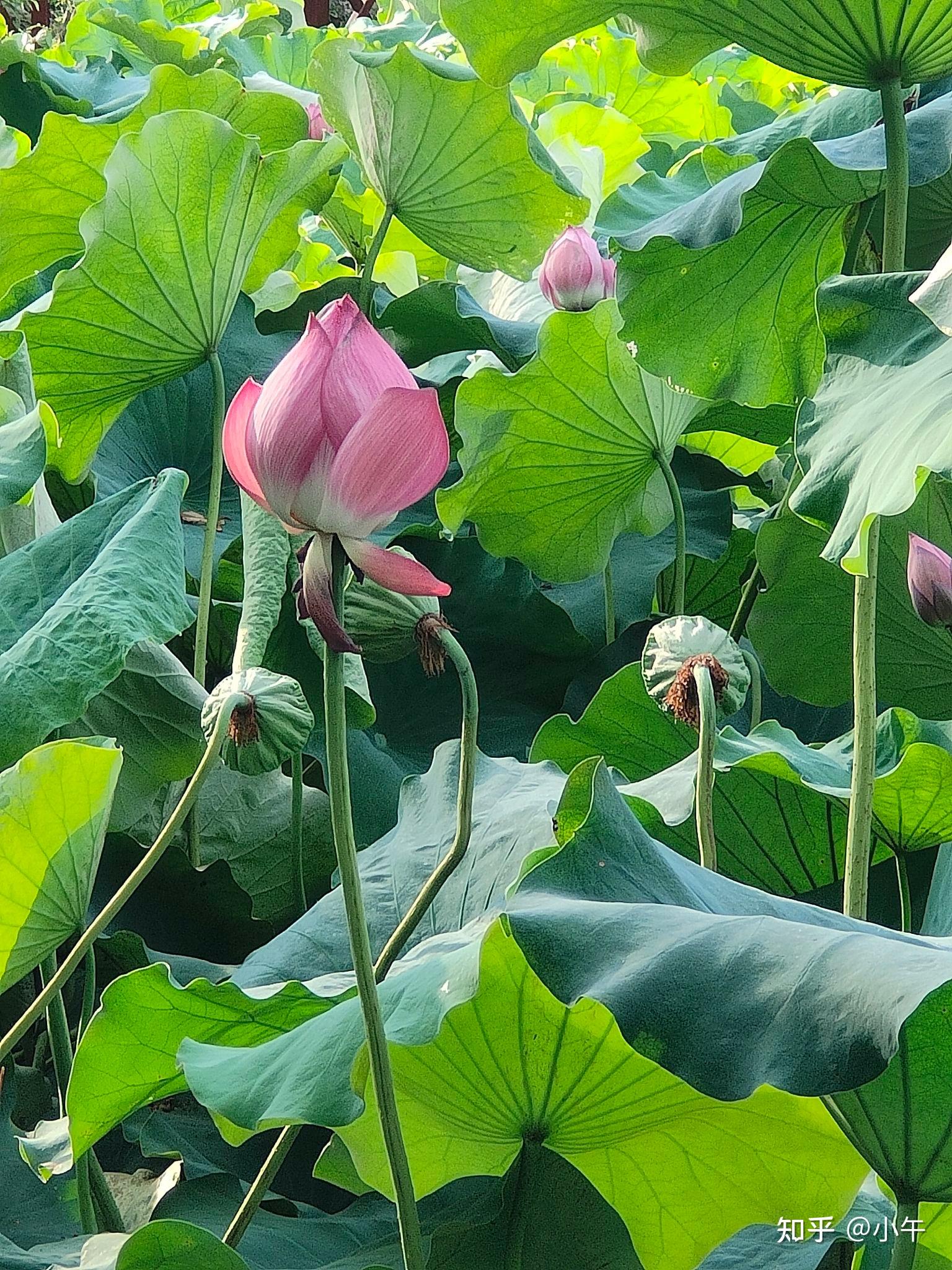 出行方式:自駕推薦原因:特別適合夏季遊玩,水上活動滿滿,海嘯館,泡泡