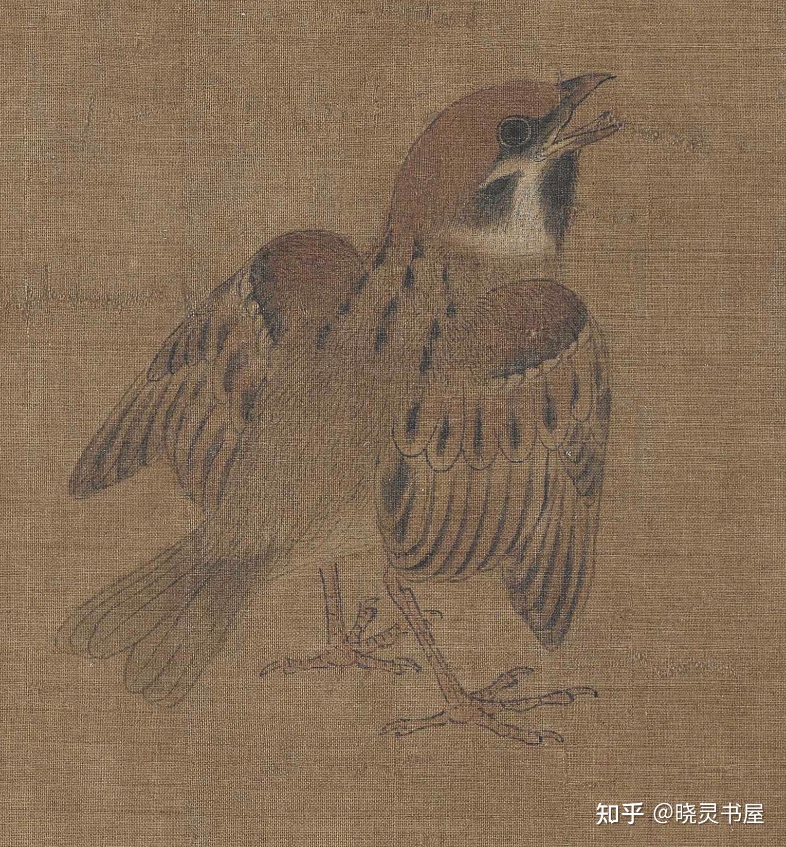 五代黄筌 | 《写生珍禽图》卷 - 知乎