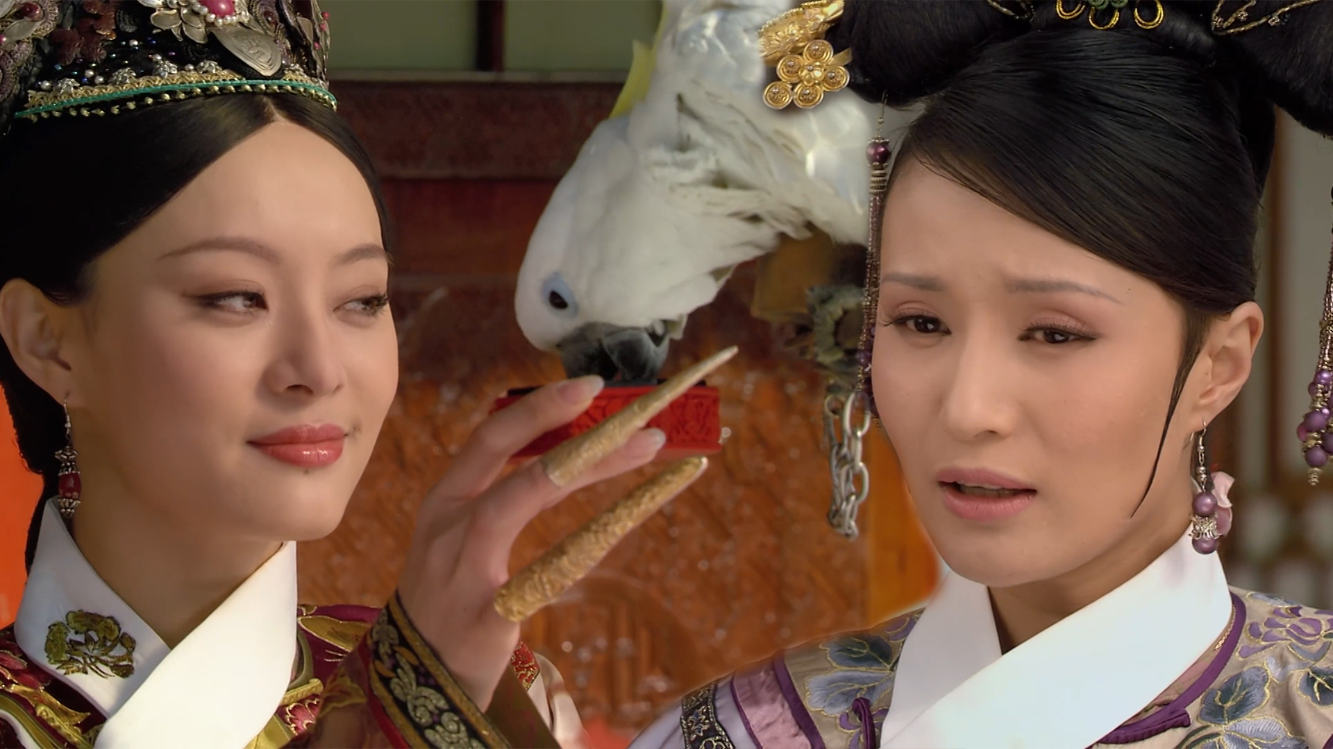 "鉴宝大师"欣贵人,当真不认识红麝香珠吗?一切都没有那么简单