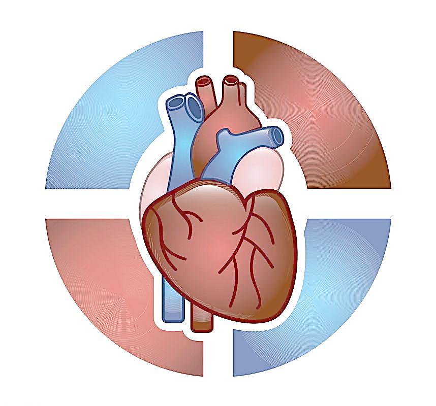 胸痛不一定是冠心病關於心臟病的12個知識