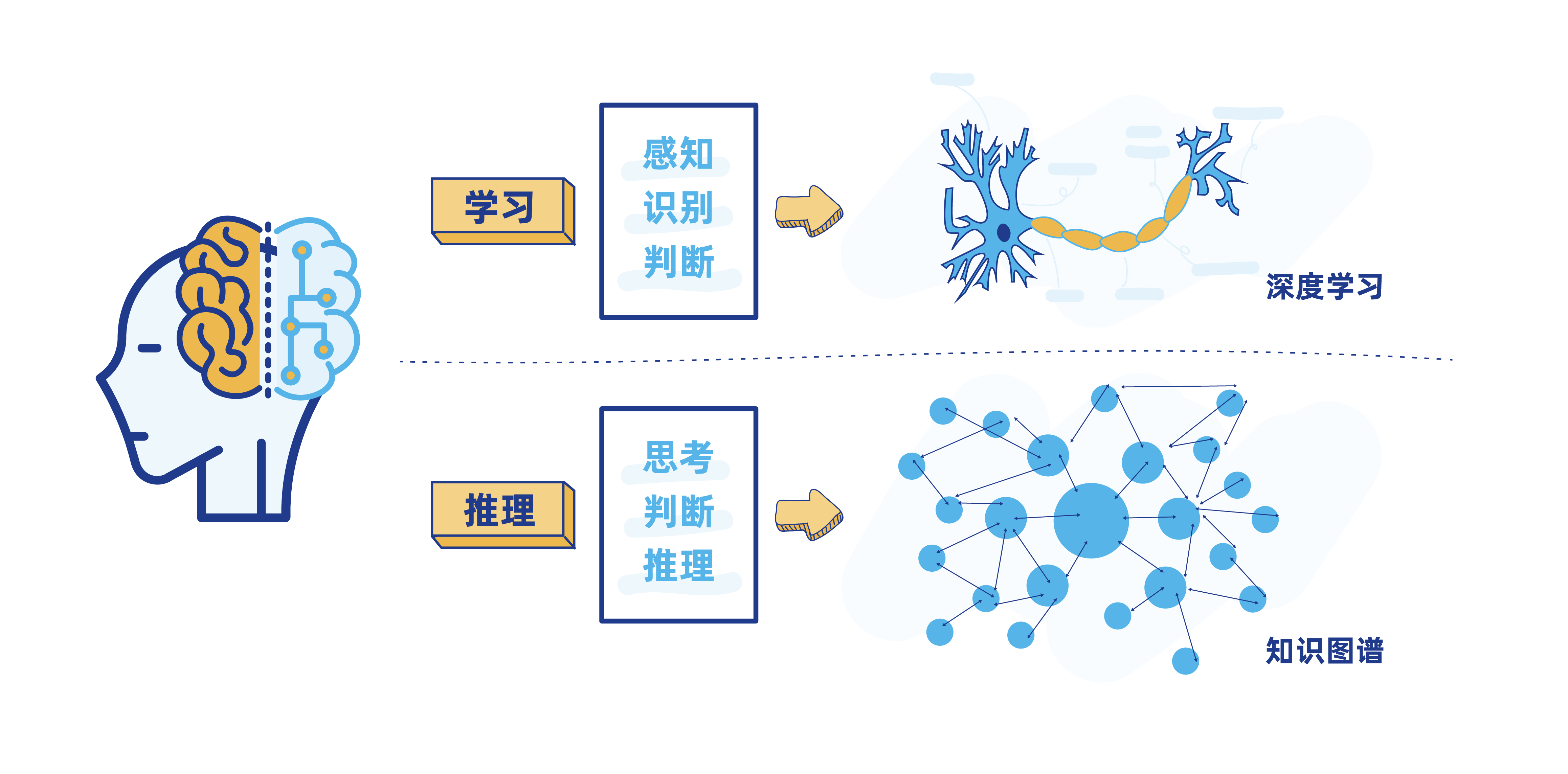 第五步:構建行業知識圖譜