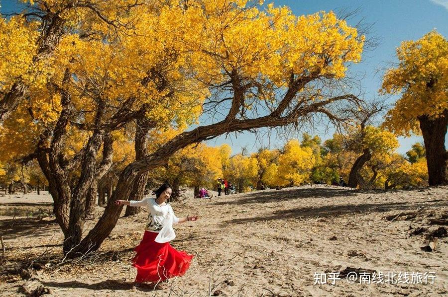 新疆塔城老干部局_新疆南北疆景点对比_新疆南北疆旅游路线推荐