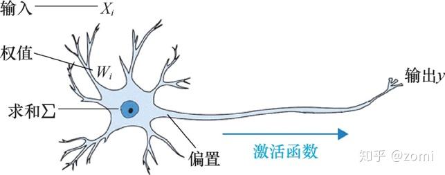 它從結構,實現機理和功能 上模擬生物神經網絡,傳統的生物神經元模型