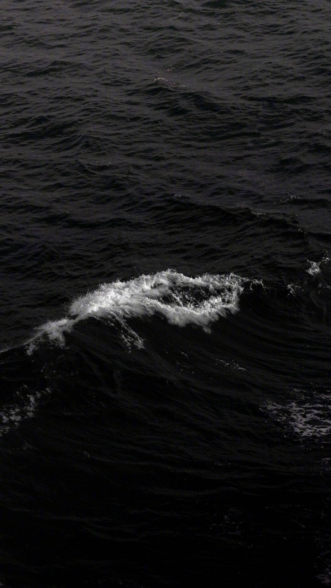 全面屏又小众又好看的壁纸好看到爆炸