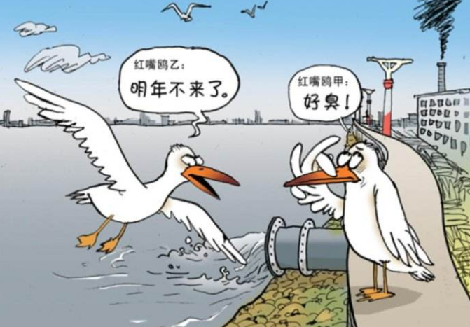 环境污染对健康的影响