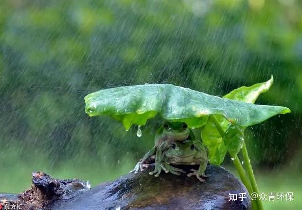 南方梅雨季节我们要注意什么 - 知乎