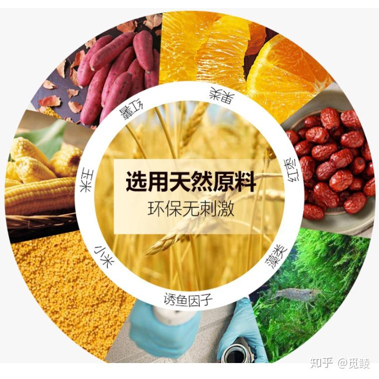 台钓饵料的基本成分及饵料的分类 - 知乎