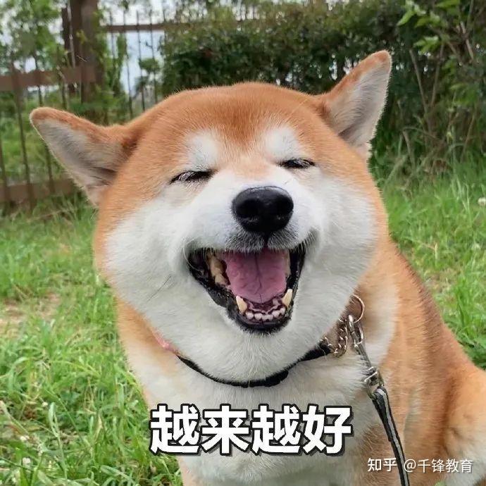 这些互联网大厂养老公司火了程序员必看