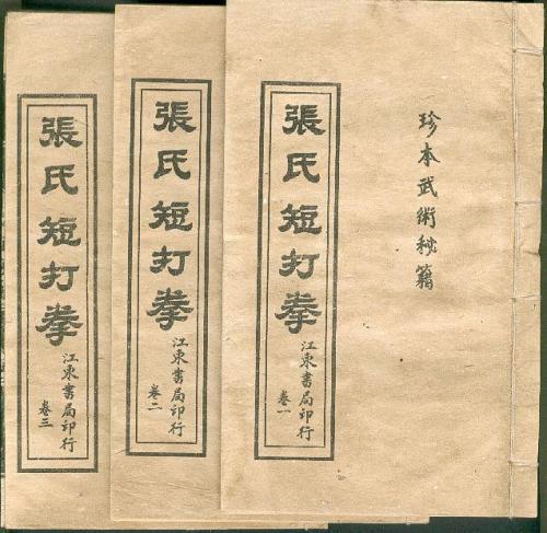 分享系列---石建义先生绵张拳一路