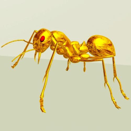 蚂蚁王后的样子图片