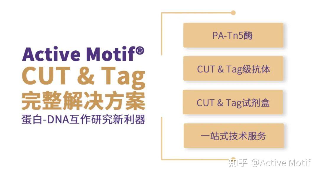 突破！CUT&Tag技术首次被应用于空间组学！ 知乎