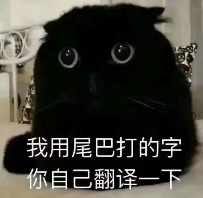 你客气了表情包 - 知乎