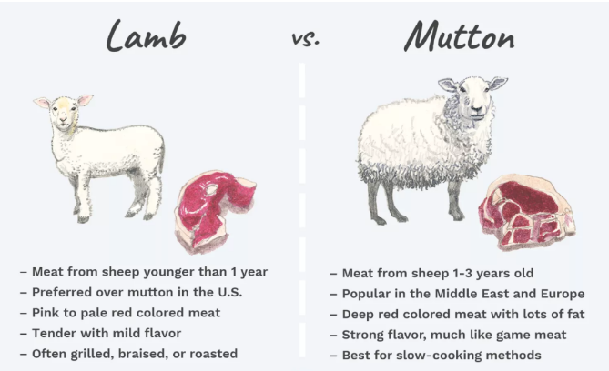 羊肉用英语怎么说可不要直接翻译为sheepmeat
