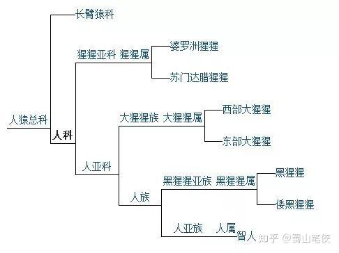 知乎专栏