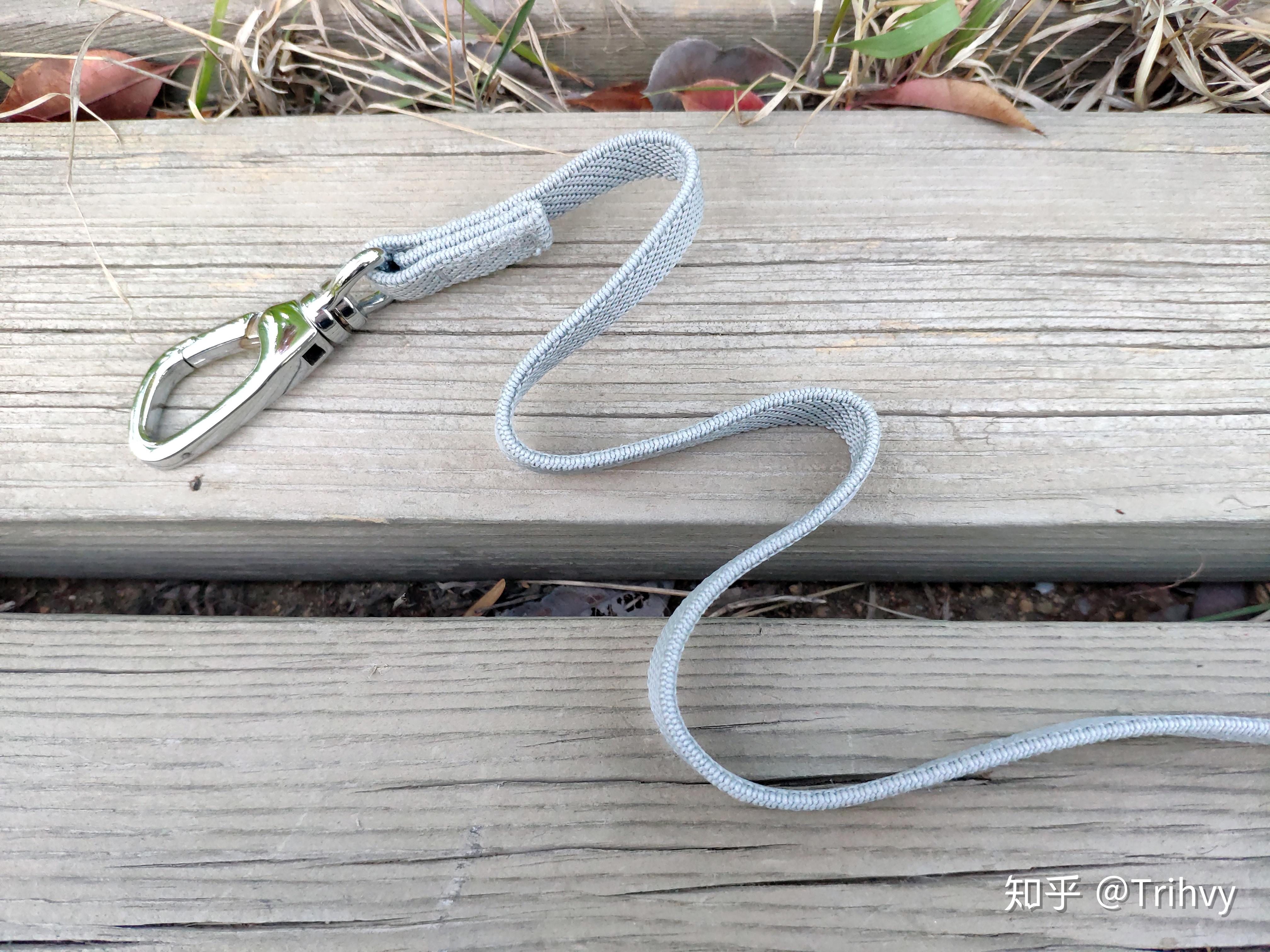 萌王星的环形ufo牵引绳使遛狗遛出新花样