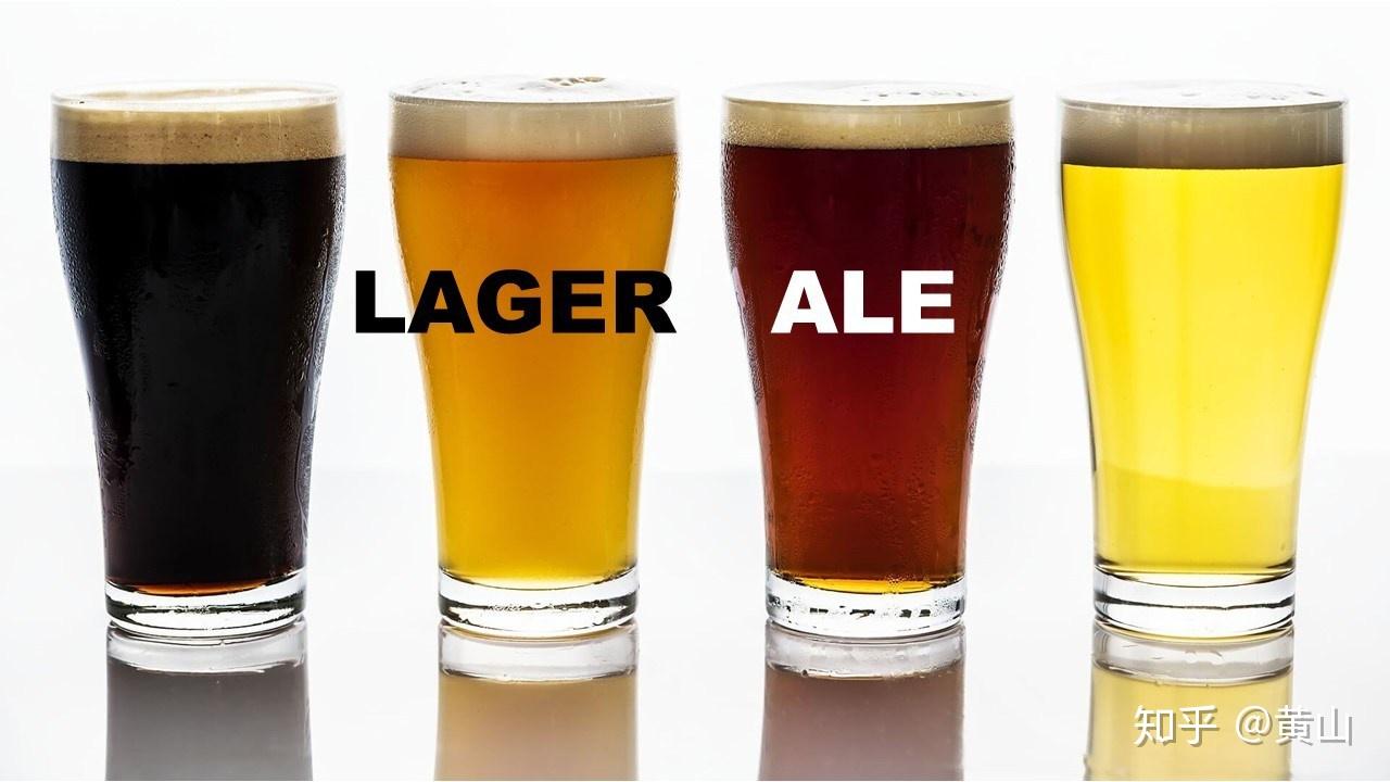 捧艾尔,踩拉格,是真的懂啤酒吗?