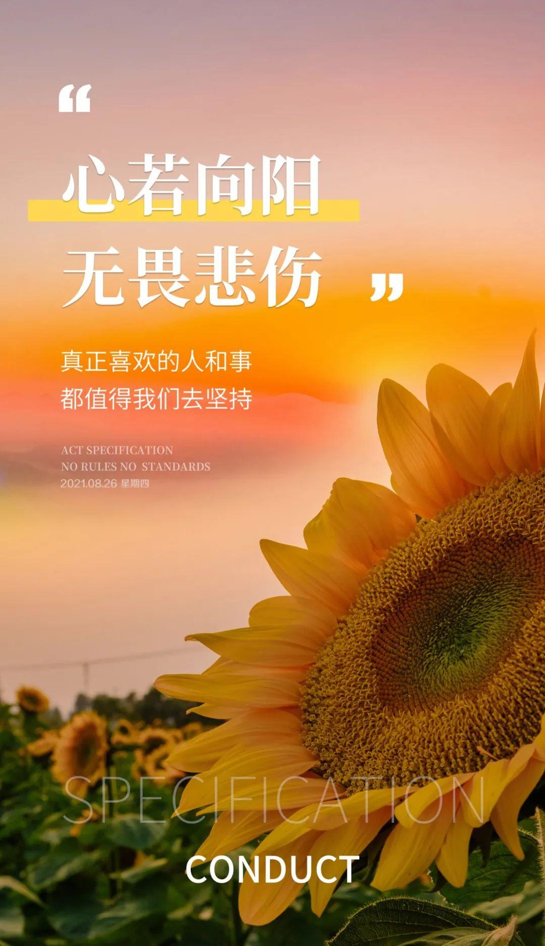 8月26日早安心语正能量精辟语录阳光的早安图片正能量带字