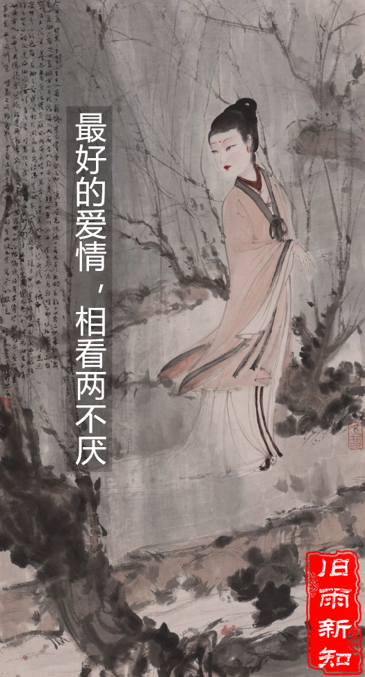 最好的爱情,相看两不厌