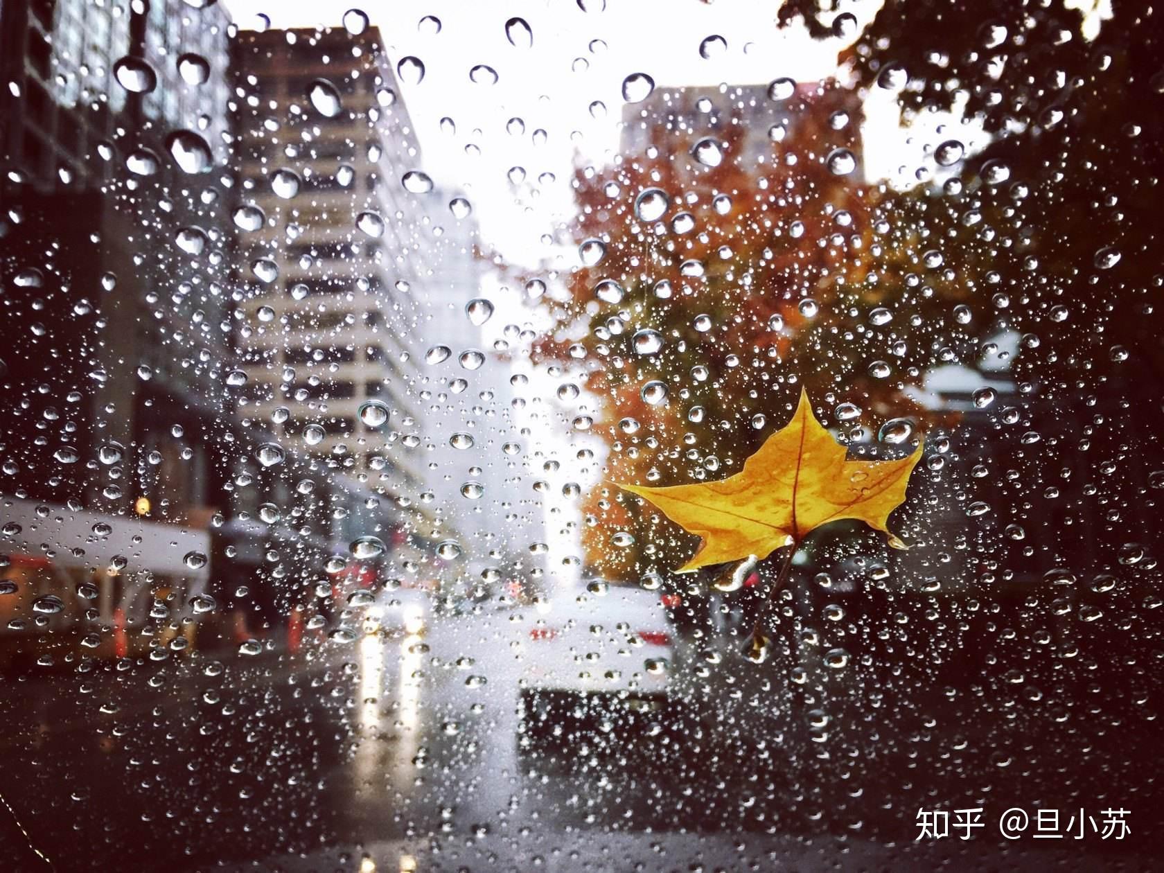 喜欢下雨是一种瘾,你知道为什么吗? - 知乎
