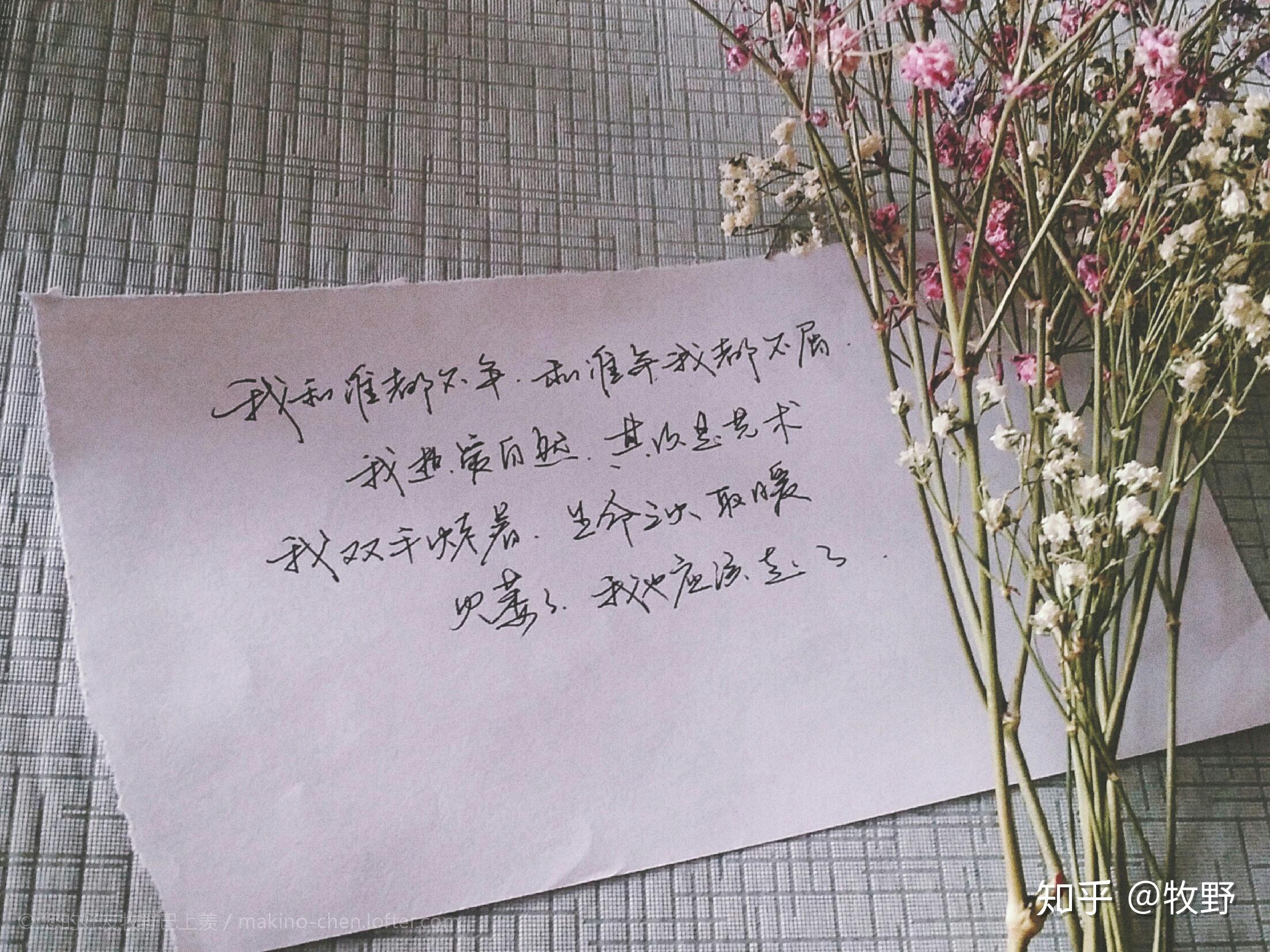 v2-0b6e44f641a415c4b6179965e592a1fe_r.jpg