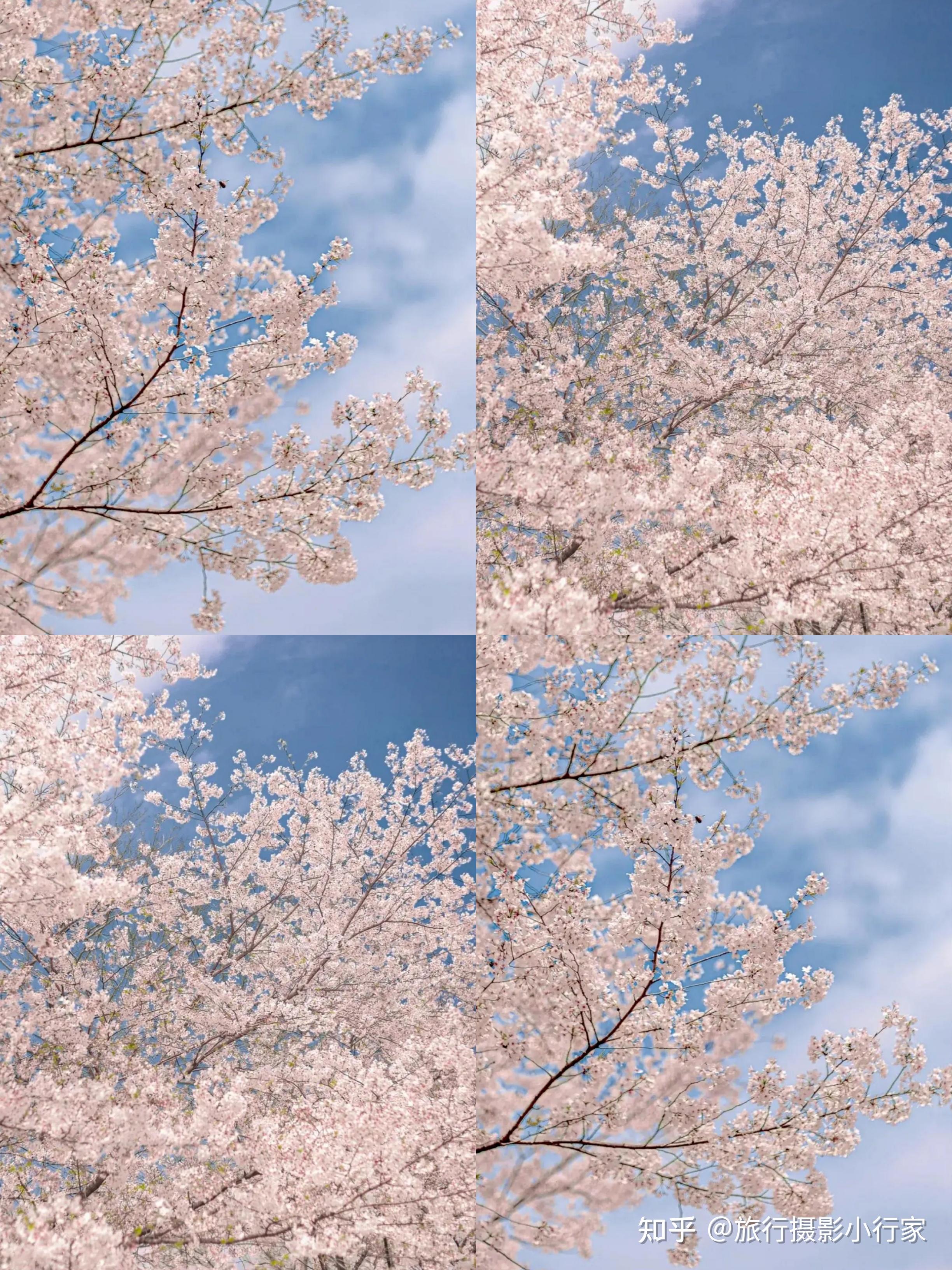 v2-0b720561a2ff8516aa3b943062ab3e87_r.jpg